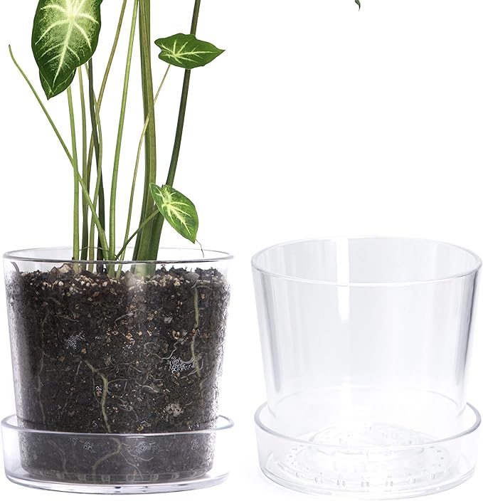 Phoenix Vine 8 Inch Clear Acrylic Planter Pot with Tray, Orchid Pot with Drainage Holes, Deep Saucer for Bottom Watering, Transparent Containers for Indoor Plants, Herbs, Set of 2, 91-A-G-2