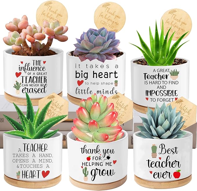 Teacher Appreciation Gifts for Women Bulk 6 Pieces Succulent Pots, 3.15 Inch Ceramic Small Plant Pots with Drainage and Bamboo Tray, Funny Christmas Birthday Retirement Thanksgiving Gifts for Teachers