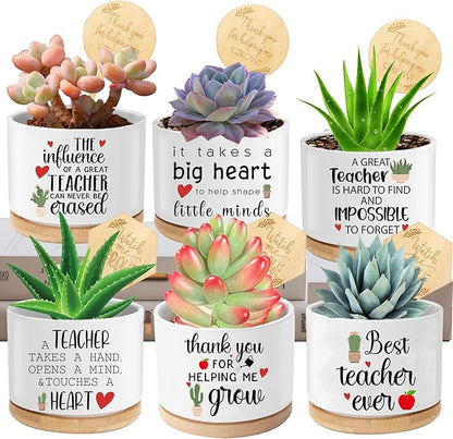 Teacher Appreciation Gifts for Women Bulk 6 Pieces Succulent Pots, 3.15 Inch Ceramic Small Plant Pots with Drainage and Bamboo Tray, Funny Christmas Birthday Retirement Thanksgiving Gifts for Teachers