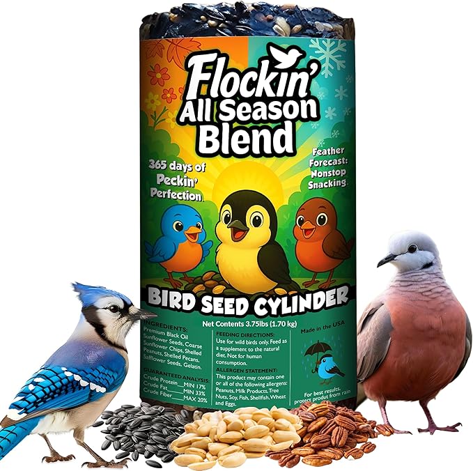 All Year Round Bird Seed Cylinders with Hole – All Season Wild Bird Food for Blue Jays, Cardinals, Doves, Finches & More – Balanced High Energy All Natural Blend, No Fillers – USA Made (6" x 7.75")