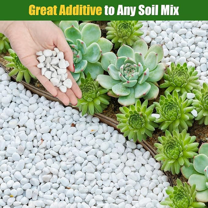 Organic Chunky Perlite for Plants (0.4"-0.8" in Diameter), Natural Horticultural Soil Additive Conditioner Mix, Improve Drainage and Ventilation, Enhance Soil Health and Root Growth (1 Quart)