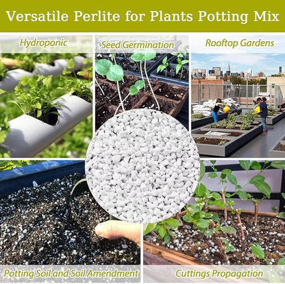 Riare 15 Quarts Organic Perlite for Plants - Horticultural Perlite Soil Amendment for Plants Potting Mix, Natural Chunky Perlite Soil Additive Conditioner Improve Root Growth, Drainage and Ventilation