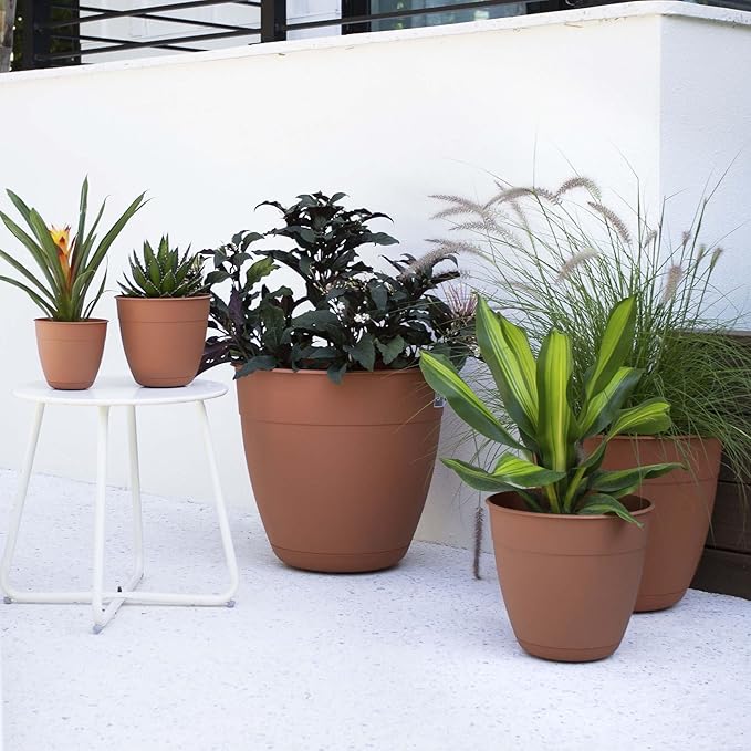 Bloem Dayton 12" Terra Cotta Recyled Plastic Planter Pot with Drainage Holes and Removable Saucer for Indoor and Outdoor Gardening