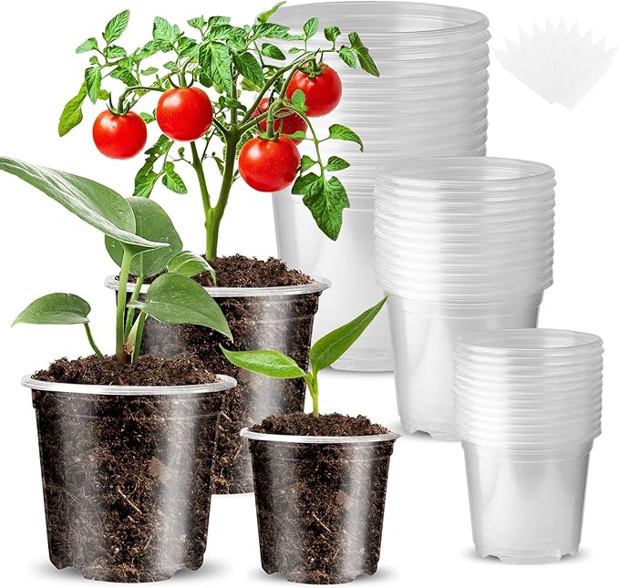 Wironlst 36 Packs 3.5/4/5 Inch Clear Nursery Pots for Plants, Transparent Plastic Pots for Plants with Drainage Holes Durable Seed Starter Pot Flower Pots with 36 Plant Labels