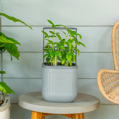 Vego garden Mini Planter Indoor Pots with Trellis Self-Watering Herb Countertop Planter for Climbing Vegetables Flowers Mint Plants Cage- Fog Gray