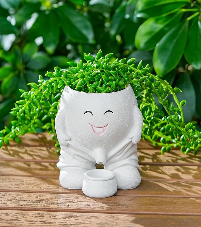 Quirky Cute Planter with Smiley Face,Pee Plant Pot,Naughty Boy Plant Face Pot with Drainage Hole,for Indoor Outdoor, Christmas, Mather's Day Gift(Naughty Boy,White)