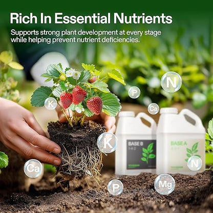 VIVOSUN Liquid Nutrients Base A & B Bundle, Grow Big Hydroponic Fertilizer, Supports Vegetative and Flowering Stages for Outdoor, Indoor Plants, Best Plant Food, Set of 1 Gallon (Pack of 2)