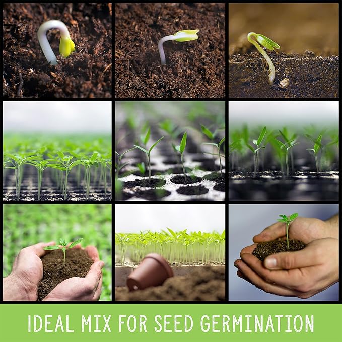 Soil Sunrise All Natural Seed Starting Mix (4 Quarts) Expert Grade Seed Starter Potting Mix, Start Herbs, Vegetables, and Other Grass