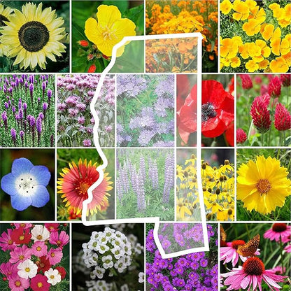 Eden Brothers Mississippi Wildflower Mixed Seeds for Planting, 1 lb, 480,000+ Seeds with Lupine, Sunflower | Attracts Pollinators, Plant in Spring or Fall, Zones