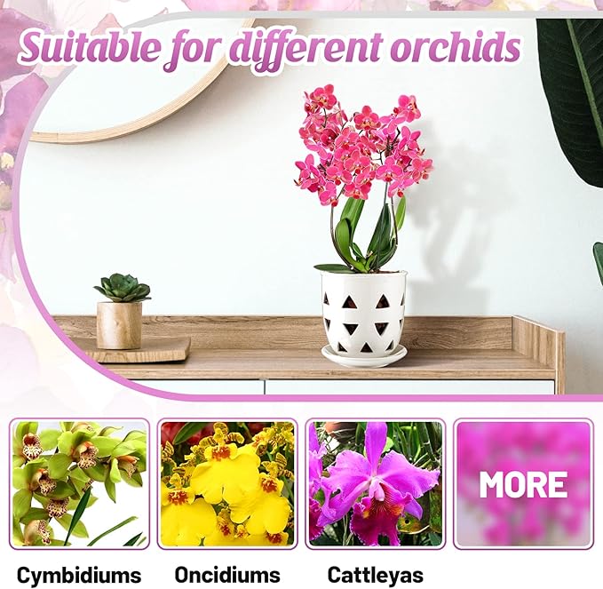 Aulock 6in Ceramic Orchid Pot with Drainage Holes, Decorative Planter, Excellent Airflow for Healthy Roots, for Repotting Indoor, Triangle Style