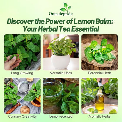 Outsidepride Lemon Bee Balm Seeds - 10,000 Perennial, Easy to Grow & Pollinator Friendly Melissa officinalis Flower Seeds for Planting Mint Scented Leaves & Edible Blooms, Great for Teas & Potpourri