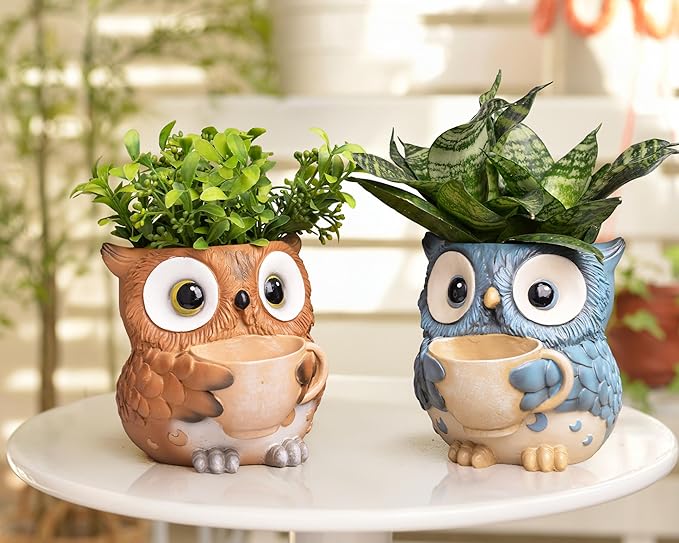 Unique Owl Plant Pots Indoor, Cute Small Succulent Pots with Drainage Hole, Watering Owl Planters for Indoor Outdoor Plants, Resin Flower Pot for String of Pearls, Gift Ideas for Mother