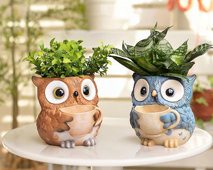 Unique Owl Plant Pots Indoor, Cute Small Succulent Pots with Drainage Hole, Watering Owl Planters for Indoor Outdoor Plants, Resin Flower Pot for String of Pearls, Gift Ideas for Mother