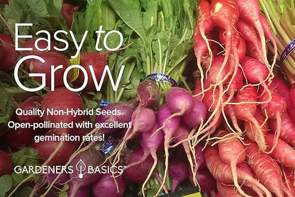 Gardeners Basics, Radish Seeds for Planting 5 Individual Packets - Watermelon, French Breakfast, Champion, Cherry Belle, White Icicle for Your Non GMO Heirloom Vegetable Garden