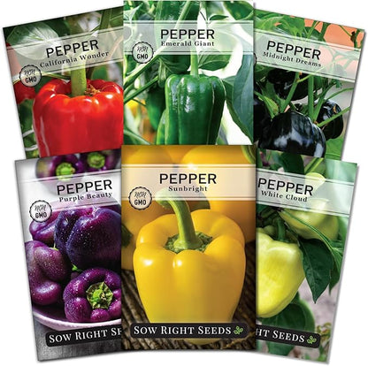 Sow Right Seeds - Sweet Bell Pepper Seed Collection for Planting a Home Garden - Cal Wonder, Emerald Giant, Midnight Dreams, Purple Beauty, Sunbright, White Cloud - Non-GMO Heirloom Variety Pack