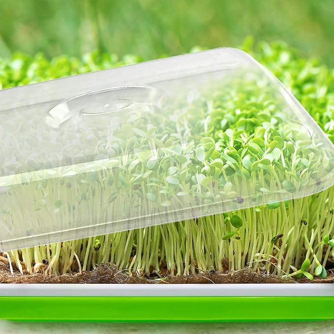 Seed Sprouter Tray with Drain Holes,Seed Germination Tray Kit BPA Free Nursery Tray,Soil-Free Big Capacity Healthy Wheatgrass Grower Sprouting Container (4 Pack with lid &mat -Light Green)