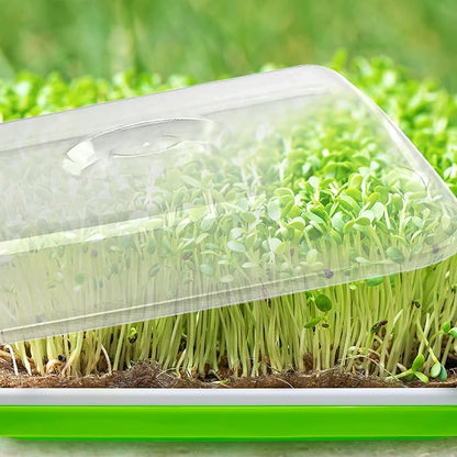 Seed Sprouter Tray with Drain Holes,Seed Germination Tray Kit BPA Free Nursery Tray,Soil-Free Big Capacity Healthy Wheatgrass Grower Sprouting Container (4 Pack with lid &mat -Light Green)