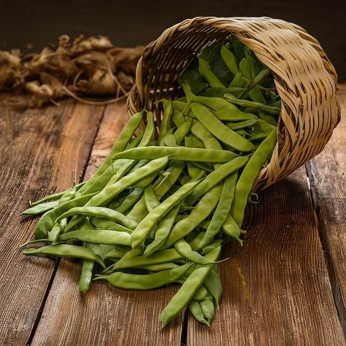 Park Seed Algarve French Climbing Bean Seeds – Gourmet Flavor, Award-Winning High Yields, 10-Inch Stringless Pods, Robust Vines for Trellises or Three Sisters Planting – Pack of 100