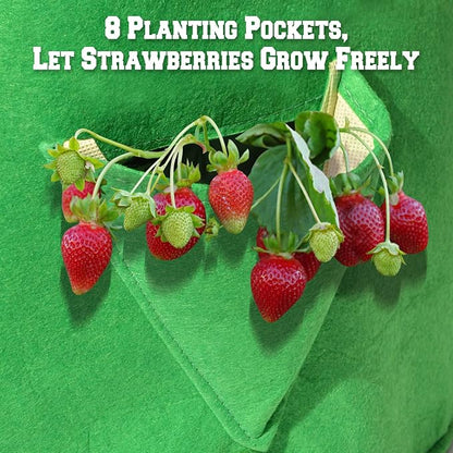 BenefitUSA Garden Planting Bag Grow Felt Fabric Planter Bag Strawberry and Herb Plant Tub 1/2/3/5 Pack (1)