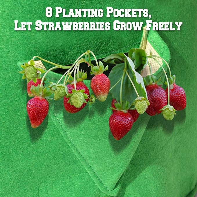 BenefitUSA Garden Planting Bag Grow Felt Fabric Planter Bag Strawberry and Herb Plant Tub 1/2/3/5 Pack (3)