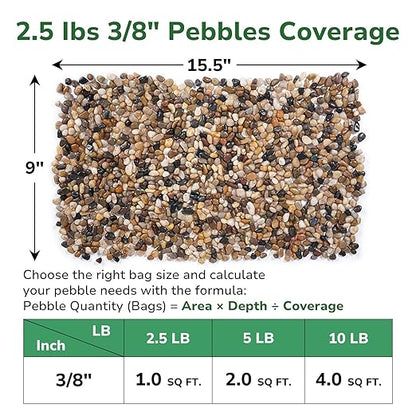 GreatBuddy 2.5-lb Pebbles for Indoor Plants, 3/8" Pea Gravel for Vases, Small Rocks for Succulents, Fish Tanks, Aquariums, Terrarium, Drainage Pebbles for Potted Plants, River Rocks for Landscaping