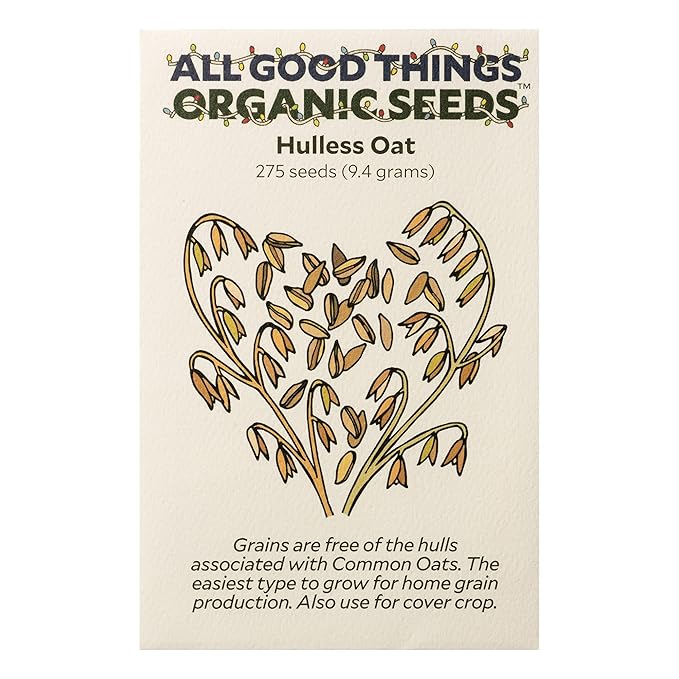 All Good Things Organic Hulless Oat Seeds Seeds for Planting: Ideal for Whole Groats, Vanilla Tan Grains - 275 Seed Packet