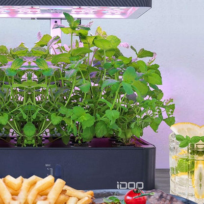 iDOO Seed Pods kit for Hydroponics System, with 12 Growth Sponges, 12 Grow Baskets, 12 Pod Labels, 12 Grow Domes, 2 Plant Food, Compatible with All Brands of Hydroponics Supplies