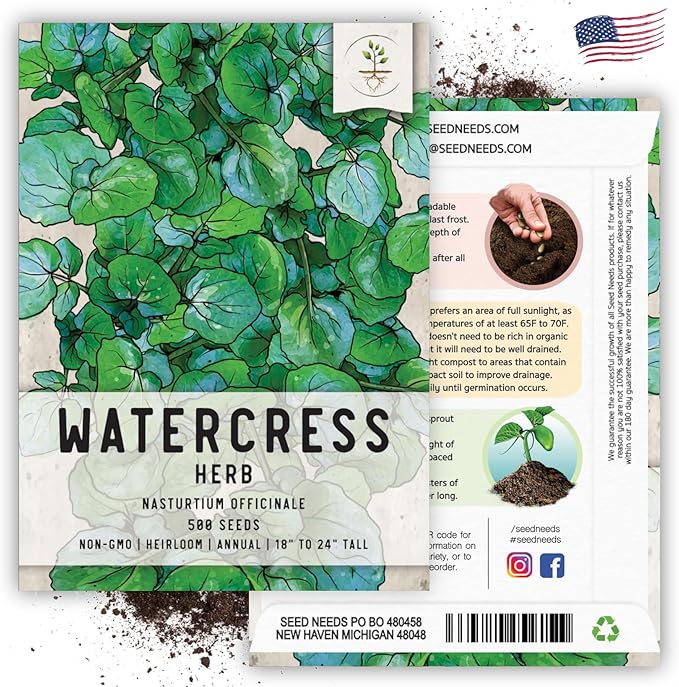 Seed Needs Watercress Seeds for Planting Nasturtium officinale - Non-GMO Heirloom & Untreated - Plant Your own Home Grown Culinary Herb Garden Indoors or Outdoors (2 Packs)