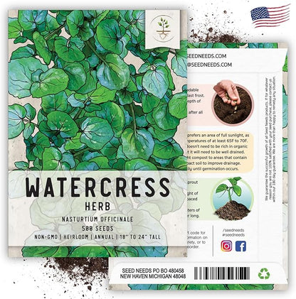 Seed Needs Watercress Seeds for Planting Nasturtium officinale - Non-GMO Heirloom & Untreated - Plant Your own Home Grown Culinary Herb Garden Indoors or Outdoors (2 Packs)