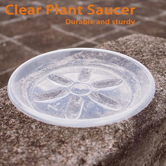 6 Pack of Plant Saucer, 6 inch Clear Plant Trays for Pots, Plant Water Catcher Tray, Plant Plate for Indoors Outdoors