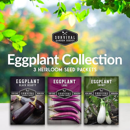 Survival Garden Seeds Eggplant Collection – 3 Varieties - Long Purple Italian, Black Beauty & Snowy Eggplant Seeds – Non-GMO Heirloom Seeds for Planting in Your Home Vegetable Garden