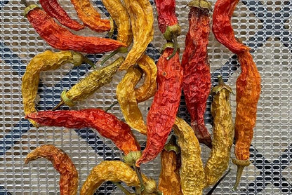 Plant Good Seed Organic Aji Amarillo Pepper Seeds for Planting: Peruvian Heirloom Chili, Orange Yellow Fruits - 30 Seed Packet