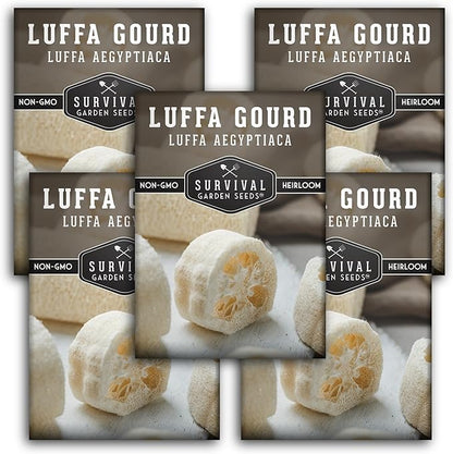 Survival Garden Seeds - Luffa or Loofah Seed for Planting - 5 Packets with Instructions to Plant and Grow Ornamental Gourds in Your Home Vegetable Garden - Non-GMO Heirloom Variety