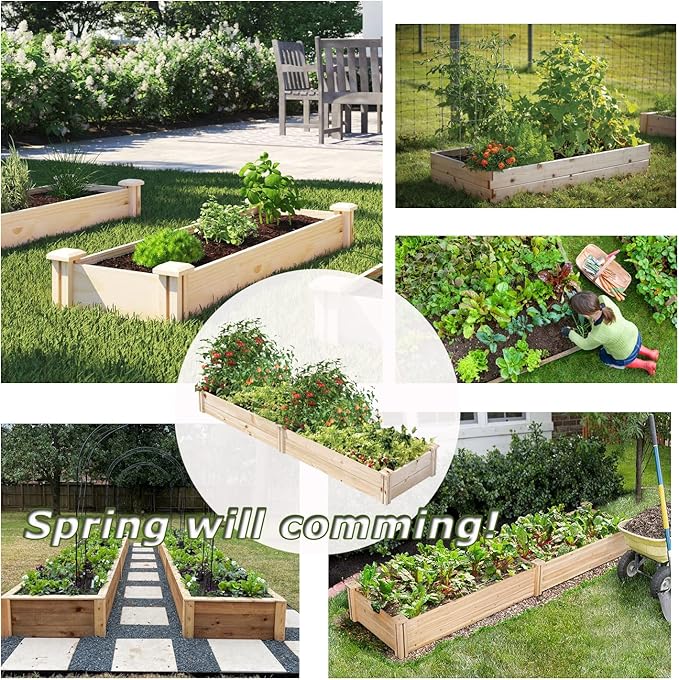 8x2 FT Raised Garden Bed Kit Elevated Wood Planter Garden Box Stand for for Backyard, Patio Outdoor Solid Wood