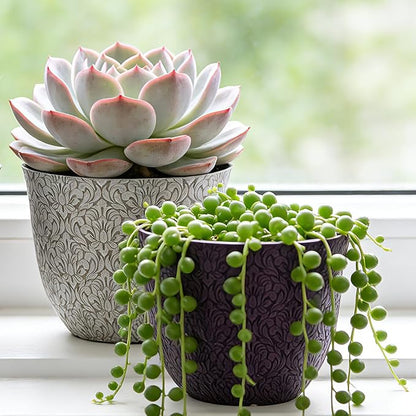 Worth Garden Plastic Round 8" Plant Pots for Indoor Plants - Set of 6 Multicolor Small Flower Pots W/Drainage Hole and Rubber Plug - Home Christmas Decorative planters Retro Floral Pattern