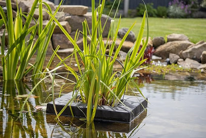 PondH2o Floating Aquatic Planter Basket, Floating Plant Baskets Kit 10" & 14" Square, Floatable Aquatic Water Garden Pond Plant Islands for Ponds and Water Features | Value 2 Pack