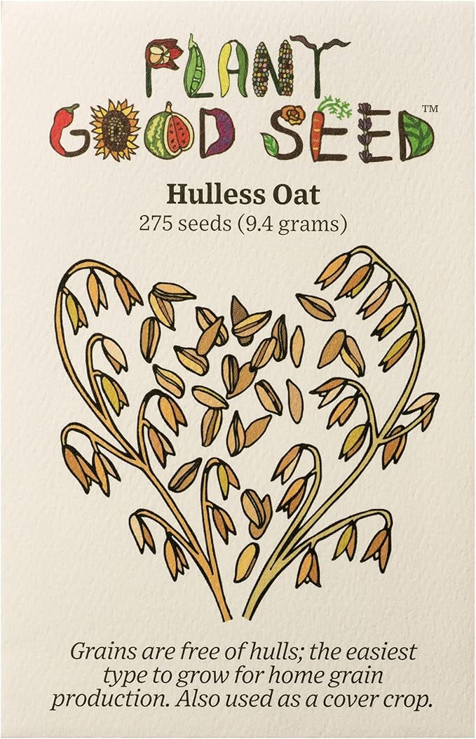 Plant Good Seed Organic Hulless Oat Seeds Seeds for Planting: Ideal for Whole Groats, Vanilla Tan Grains - 275 Seed Packet