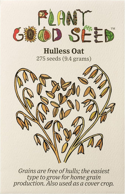 Plant Good Seed Organic Hulless Oat Seeds Seeds for Planting: Ideal for Whole Groats, Vanilla Tan Grains - 275 Seed Packet