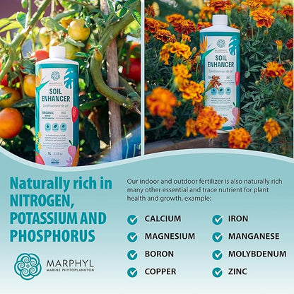 MARPHYL Plant Fertilizer Houseplants and Garden - Marine Phytoplankton Soil Improver and Hydroponic Fertilizer for Grasses, Bamboo, Succulents, & Vegetables - Organic Plant Liquid (Pack of 2)