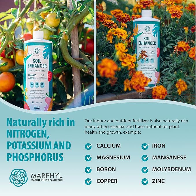 MARPHYL All-Purpose Plant Food – Organic Nutrient-Rich Fertilizer & Soil Enhancer for Indoor & Outdoor Flowers, Vegetables, Succulents, Bamboo & Hydroponics