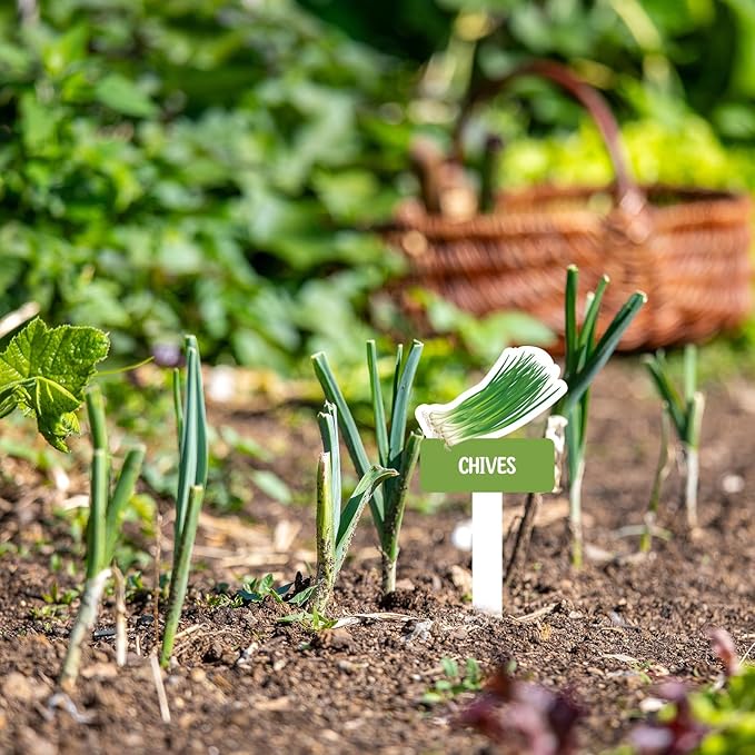 60pcs Vegetable Plant Label Signs - 26 Styles Garden Stakes Tags with Name & 8 Blank Markers Waterproof Fruit Plant Tag for Indoor Outdoor Garden Nursery Greenery Seedling Potted Plant Decoration