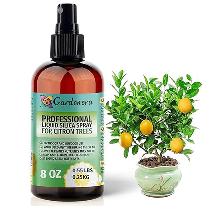 𝐒𝐔𝐏𝐄𝐑𝐈𝐎𝐑 Liquid Silica Boost Fertilizer and Supplement Spray for Citron Trees – Pre-Mixed, Ready-to-Use Liquid Silicon Plant Superfood Mist for Indoor & Outdoor Plants – 8oz