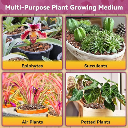 Riare 1QT Orchid Potting Mix, Natural Orchid Bark Potting Mix Soil Medium with Pine Bark and Perlite, Premium Orchid Repotting Kit for Phalaenopsis Dendrobiums, Enhanced Drainage & Root Expansion
