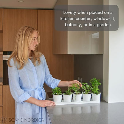 SCANDINORDICA White Herb Planter 5 Pots with Drainage Holes and Tray, Windowsill Planter, Indoor/Outdoor Herb Pots