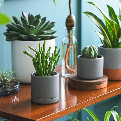D'vine Dev Set of 4 Small Ceramic Plant Pots, 3.5 Inch Succulent Planter Pot for Plants with Drainage Hole and Saucer, Grey, 94-X-A-3