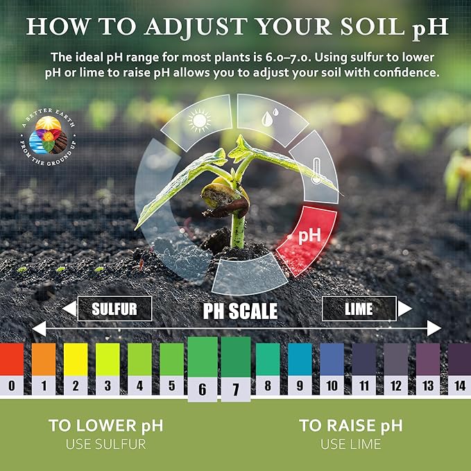 Earth Science Fast Acting Sulfur Granules – 5lb – Reduces Soil pH and Nutrient Runoff, Improves Growth & Color for Acid-Loving Plants, Long-Lasting Lawn Care Supplement