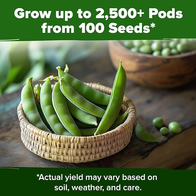 HOME GROWN Vegetable Seeds Non-GMO (Snap Pea, 1-Pack)
