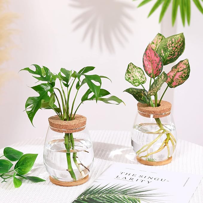 2 Pcs Propagation Vases, Tabletop Plant Terrarium for Propagating Hydroponic, Glass Terrarium Vase Jars, Home Kitchen Decorations and Gifts for Plant Lovers