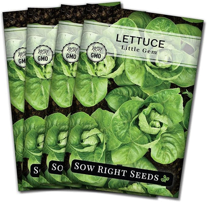 Sow Right Seeds - Little Gem Lettuce Seeds for Planting - Non-GMO Heirloom Packet with Instructions to Plant a Home Vegetable Garden - Outdoors or Indoors Hydroponics - Miniature Romaine Variety (4)