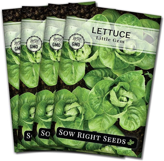 Sow Right Seeds - Little Gem Lettuce Seeds for Planting - Non-GMO Heirloom Packet with Instructions to Plant a Home Vegetable Garden - Outdoors or Indoors Hydroponics - Miniature Romaine Variety (4)